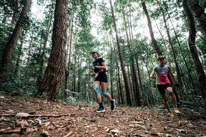 BIB: 
                            <button type="button" onclick="openModal(25261295)" class="btn btn-primary btn-sm float-right btn-popup" data-toggle="modal" data-target=".modal-high-quality">
                        <i class="fas fa-shopping-cart"></i> Add to Cart
                    </button>
                                            <button type="button" onclick="isThisMe(25261295, true)" class="btn btn-success btn-sm float-right btn-popup btn-isme hidden" data-toggle="tooltip" data-placement="bottom" title="นี่คือรูปของคุณใช่ไหม คลิกที่นี่เพื่อเอาเข้าอัลบั้ม">
                        <i class="fas fa-plus"></i> Add to album
                    </button>
                    <button type="button" onclick="isThisMe(25261295, false)" class="btn btn-warning btn-sm float-right btn-popup btn-isnotme hidden">
                        <i class="fas fa-ban"></i> Remove from album
                    </button>